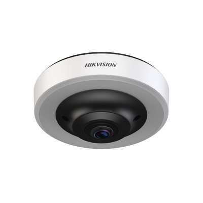 Fisheye IP 12 Megapixel (4K) / Para Detección de Espacios de Estacionamiento / 16 Espacios Ocupados o Libres / Interior  / PoE / Color Azul y Rojo /  IA Integrado